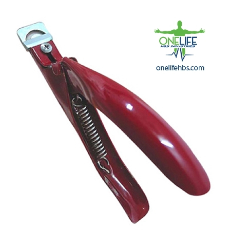 Upper Centrals and Canines